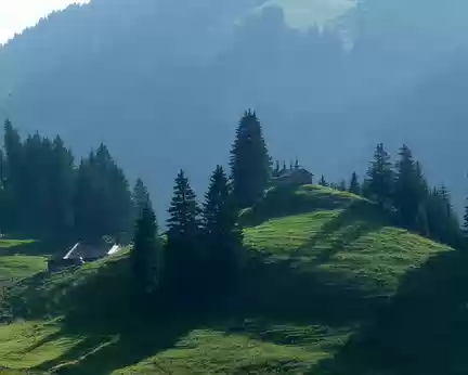 PXL015 Alpage suisse